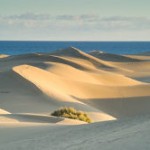 Sanddüne-Gran Canaria